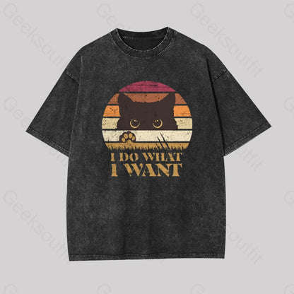 I Do What Want Geek Washed T-Shirt Black / S