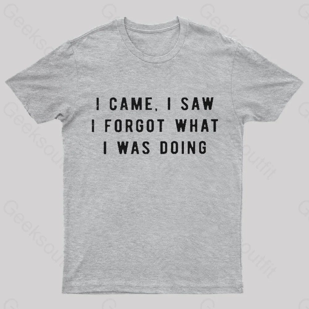 I Forgot What Was Doing Geek T-Shirt Grey / S