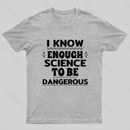 I Know Enough Science To Be Dangerous Geek T-Shirt Grey / S