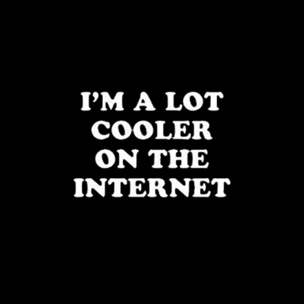 I’m A Lot Cooler On The Internet T-Shirt