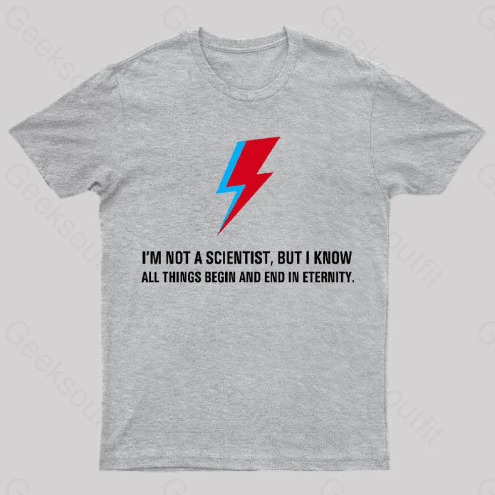 I’m Not A Scientist The Man Who Fell To Earth T-Shirt Grey / S Yc