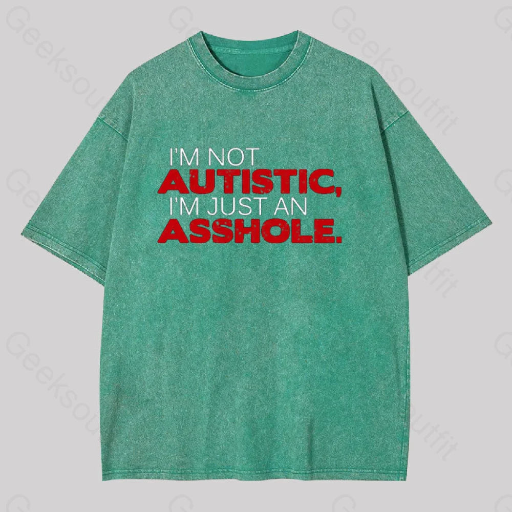 I’m Not Autist I’mjust An Asshole Washed T-Shirt Grass Green / S