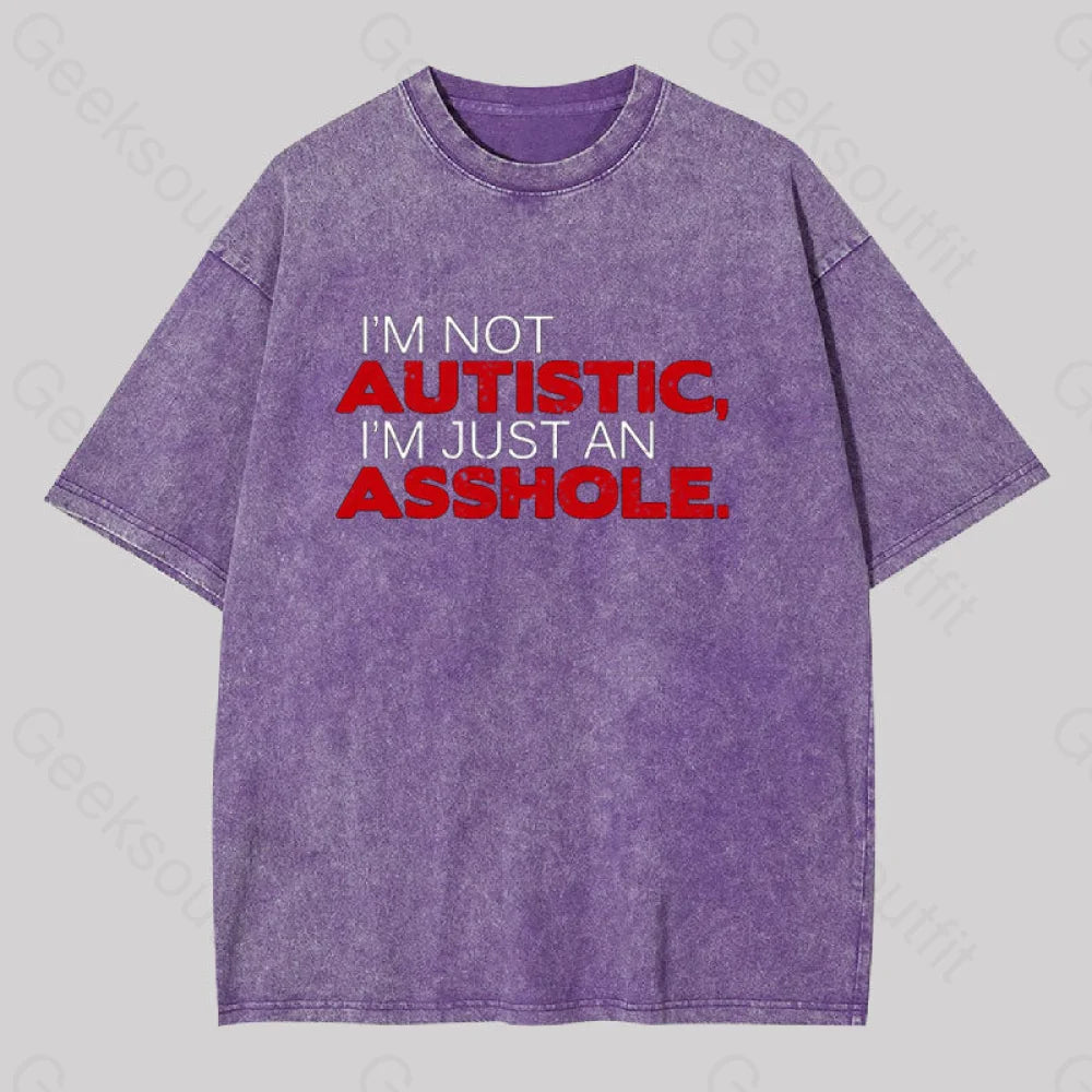 I’m Not Autist I’mjust An Asshole Washed T-Shirt Purple / S