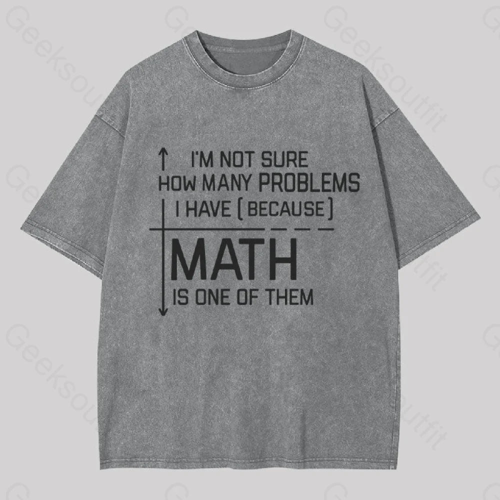 I’m Not Sure How Many Questions I Have Geek Washed T-Shirt Grey / S