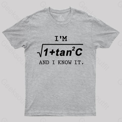 I’m Sec(C) T-Shirt Grey / S Yc