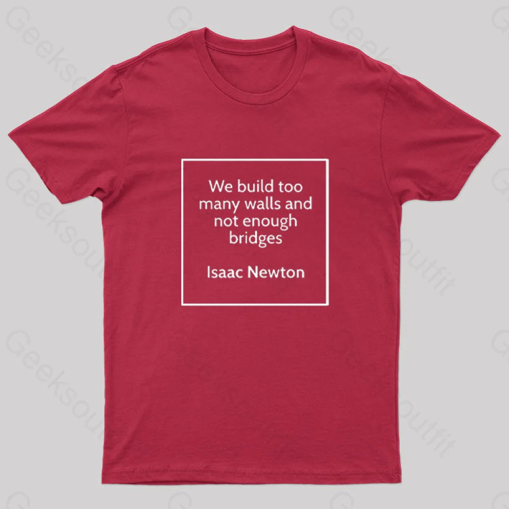 Inspirational Isaac Newton Geek T-Shirt Red / S