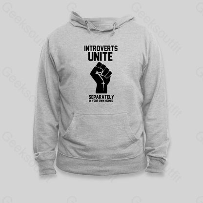 Introverts Unite Hoodie Grey / S