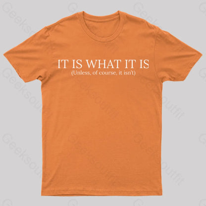 It Is What Nerd T-Shirt Orange / S