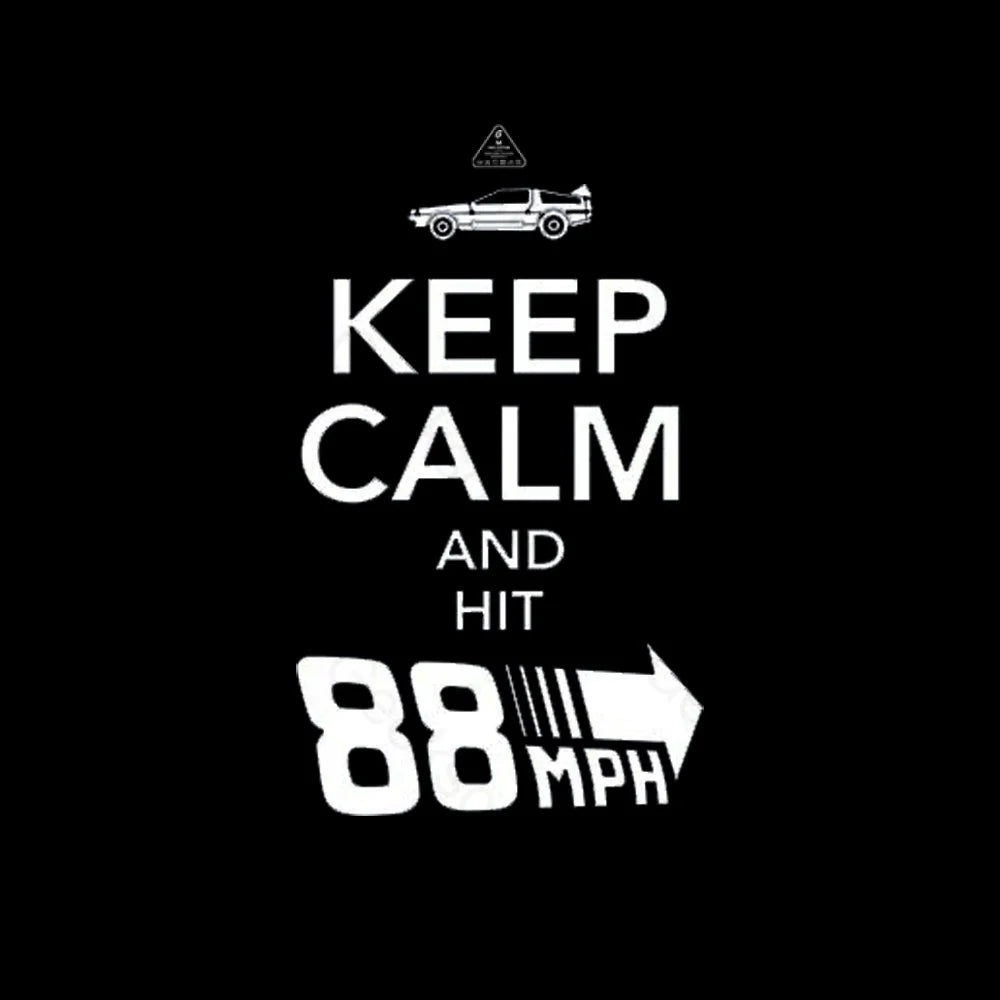 Keep Calm And Hit 88 MPH T-shirt - Geeksoutfit