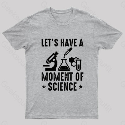 Lets Have A Moment Of Science Geek T-Shirt Grey / S