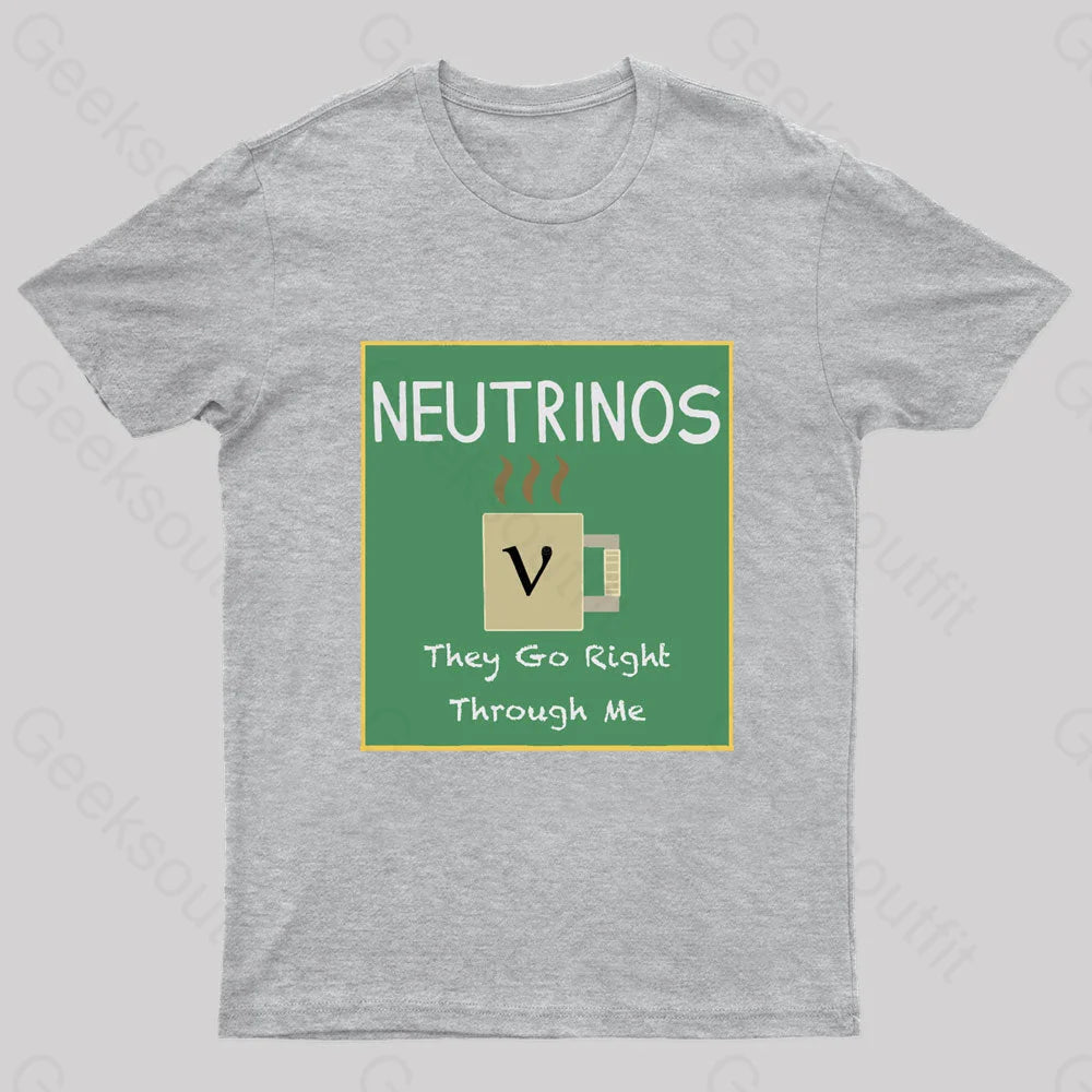 Neutrinos Go Right Through Me Nerd T-Shirt Grey / S