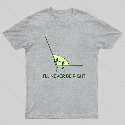 Never Right Basic Math Nerd T-Shirt Grey / S