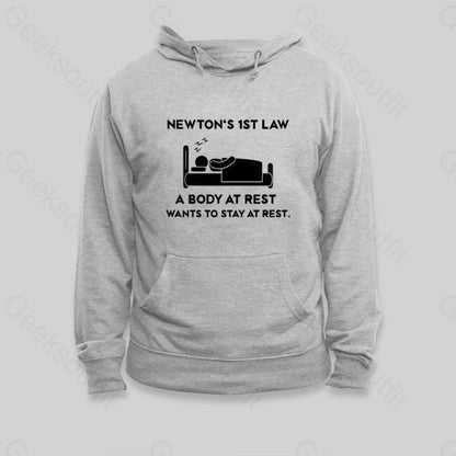 Newton’s First Law Hoodie Grey / S