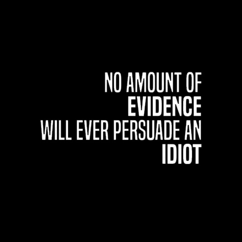 No Amount Of Evidence Will Ever Persuade An Idiot Nerd T-Shirt