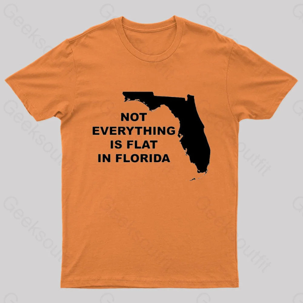 Not Everything Is Flat In Florida T-Shirt Orange / S