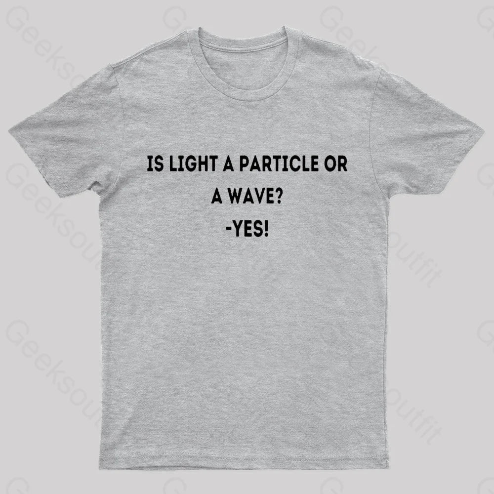 Physics Lover Joke Geek T-Shirt Grey / S