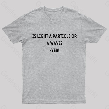 Physics Lover Joke Geek T-Shirt Grey / S