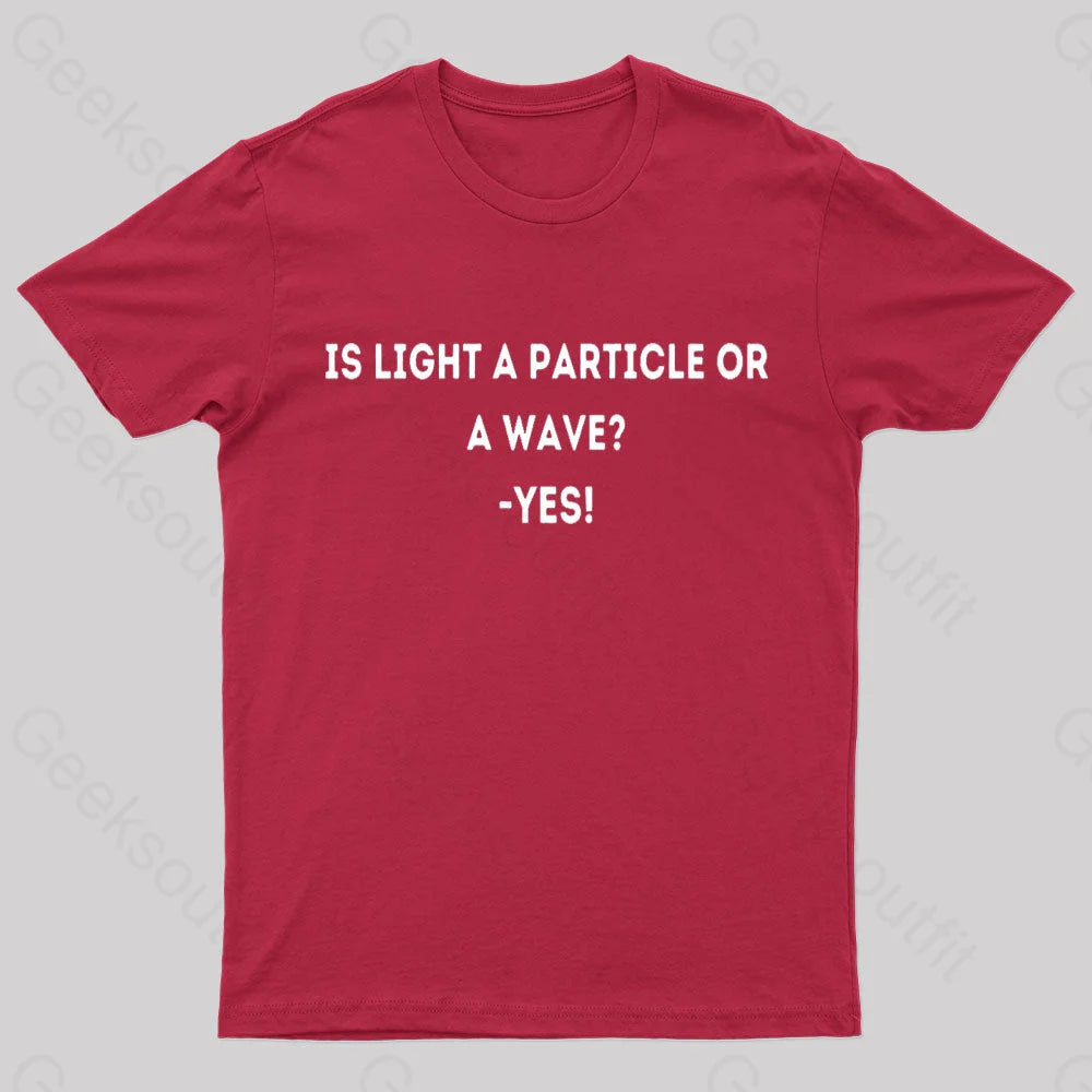 Physics Lover Joke Geek T-Shirt Red / S