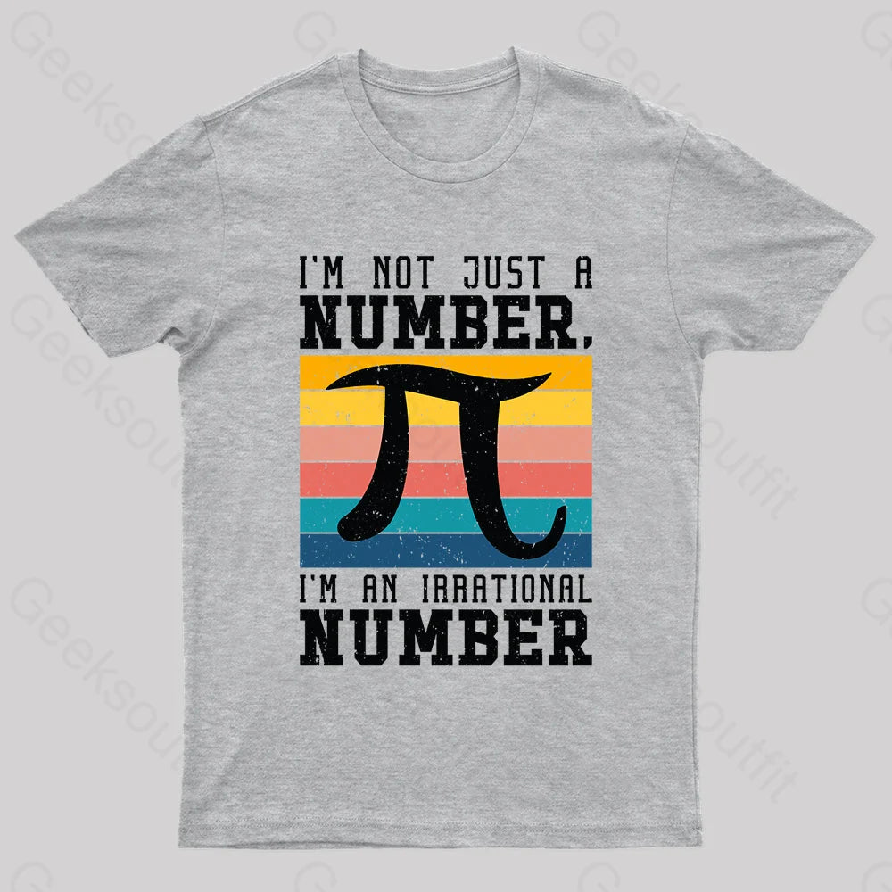 Pi Irrational Number Geek T-Shirt Grey / S