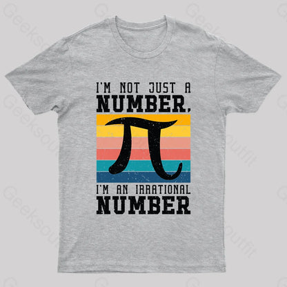 Pi Irrational Number Geek T-Shirt Grey / S