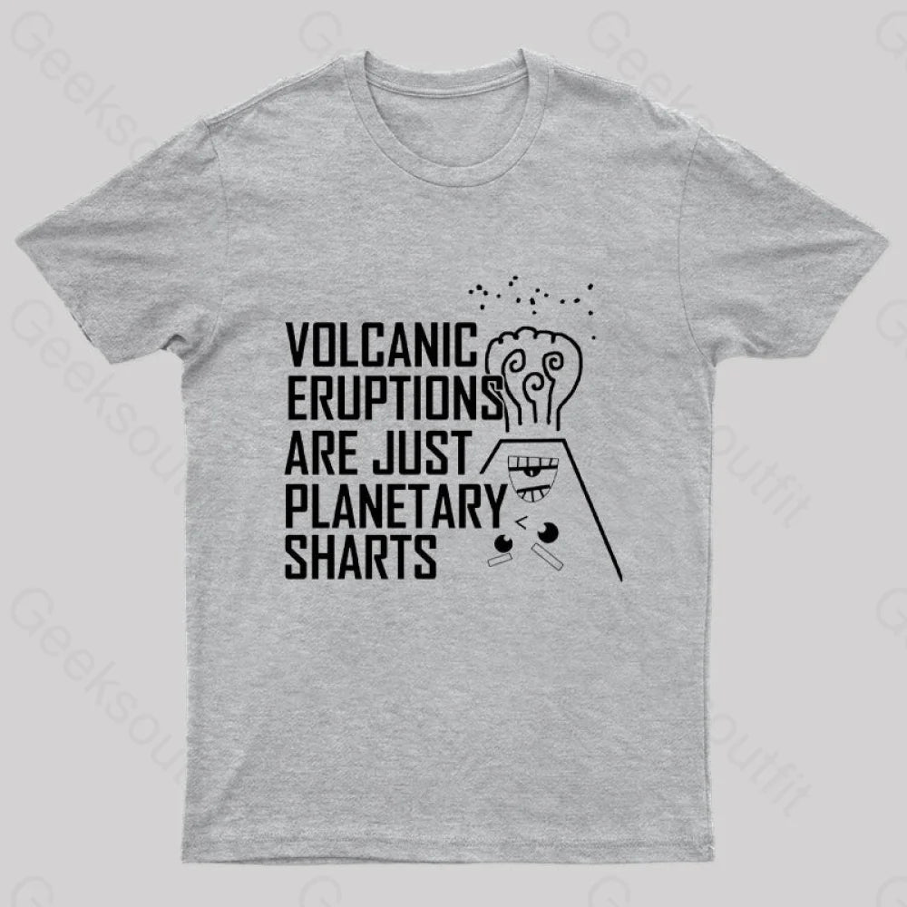 Planetary Sharts Geek T-Shirt Grey / S