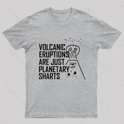 Planetary Sharts Geek T-Shirt Grey / S