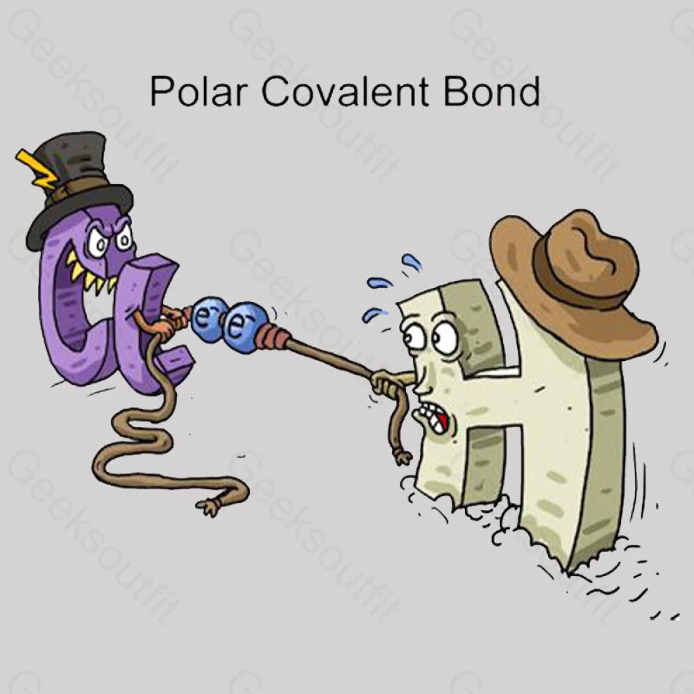 Polar Covalent Bond Geek T-Shirt