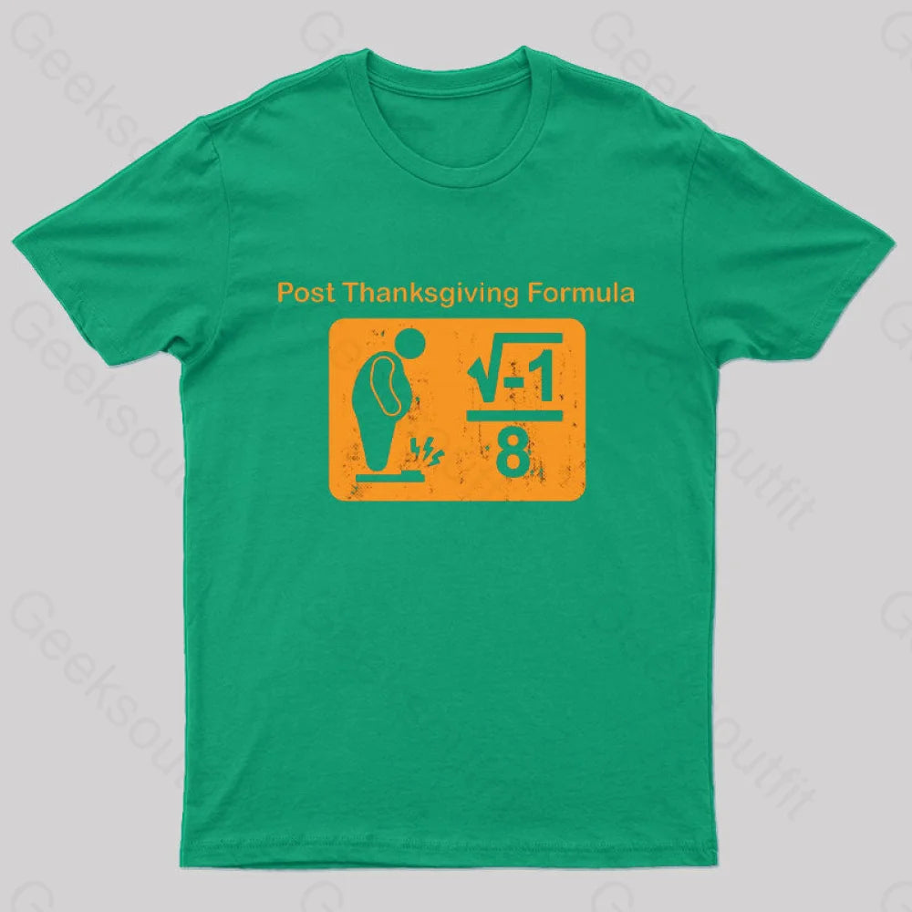 Post Thanksgiving Formula Geek T-Shirt Green / S