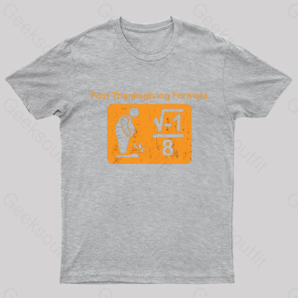 Post Thanksgiving Formula Geek T-Shirt Grey / S