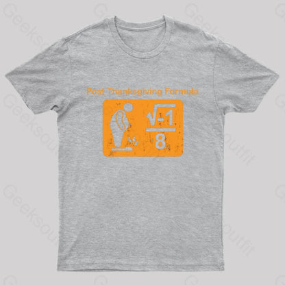 Post Thanksgiving Formula Geek T-Shirt Grey / S