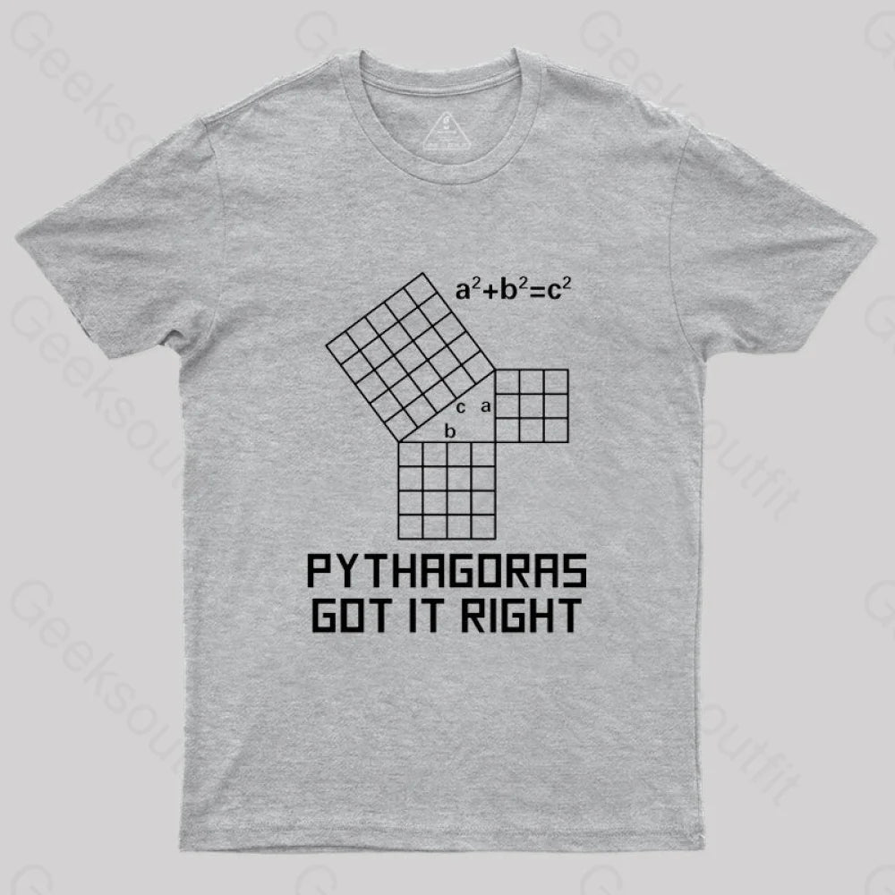 Pythagoras Got It Right T-Shirt Grey / S