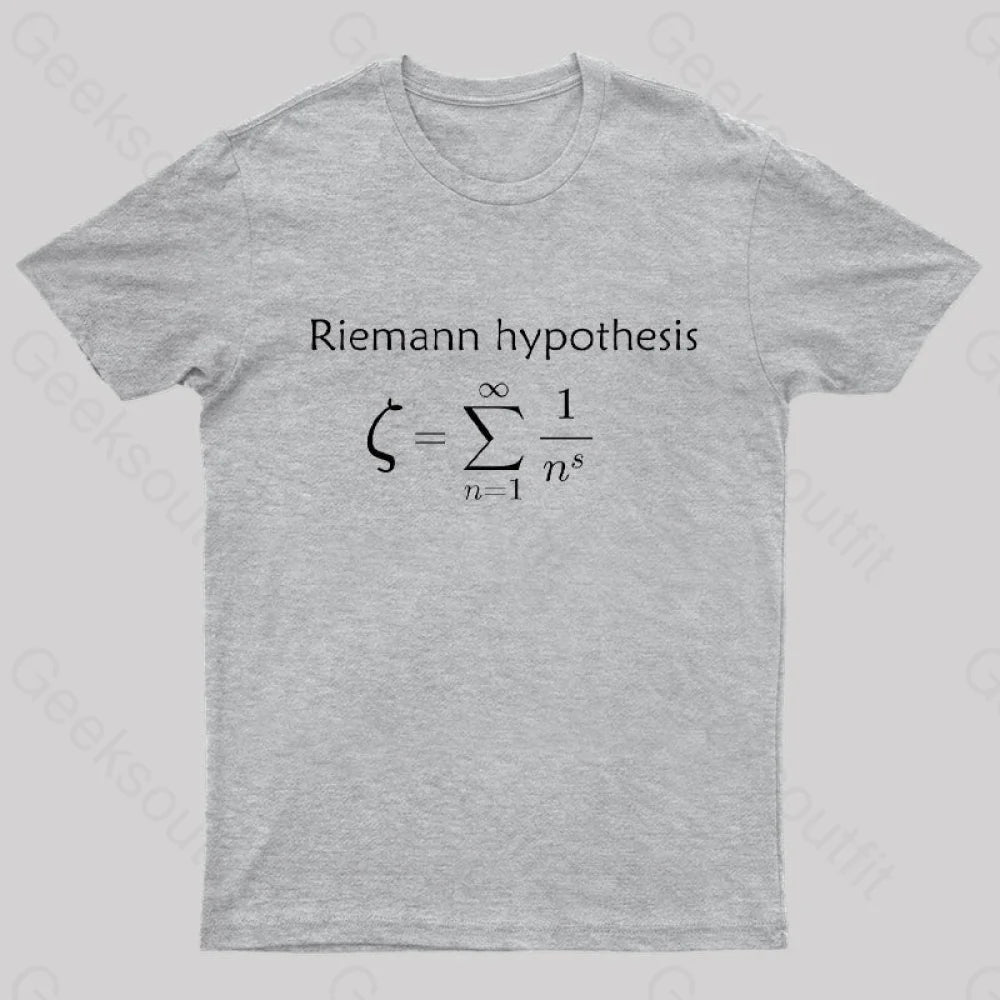 Riemann Hypothesis Mathematical Conjecture T-Shirt Grey / S