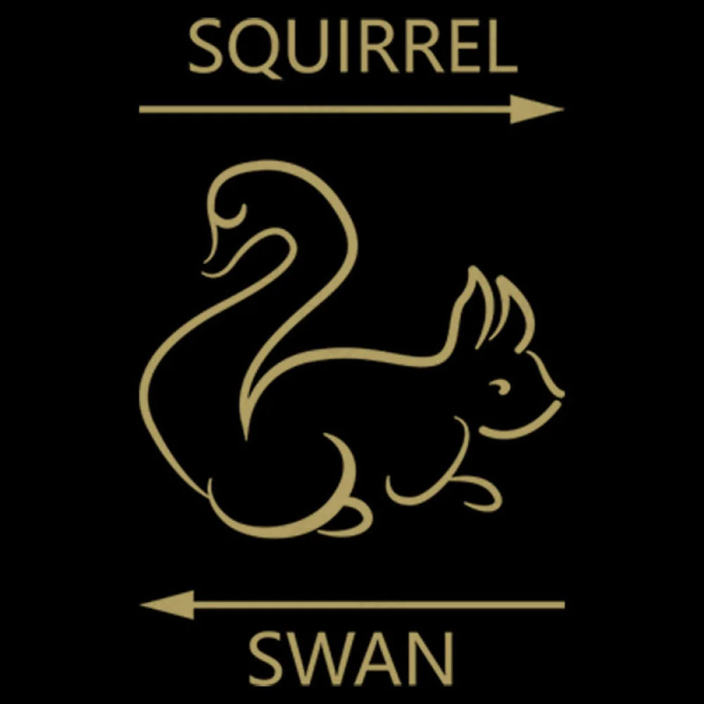 Swan Or Squirrel Geek T-Shirt