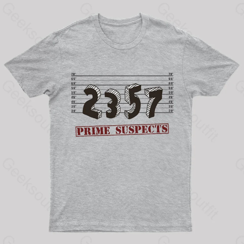 The Prime Number Suspects T-Shirt Grey / S