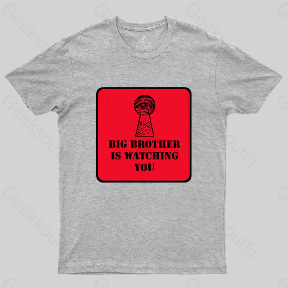 The Watcher Is Watching You T-Shirt Grey / S