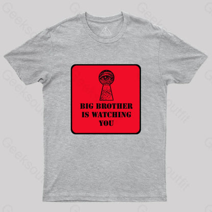 The Watcher Is Watching You T-Shirt Grey / S