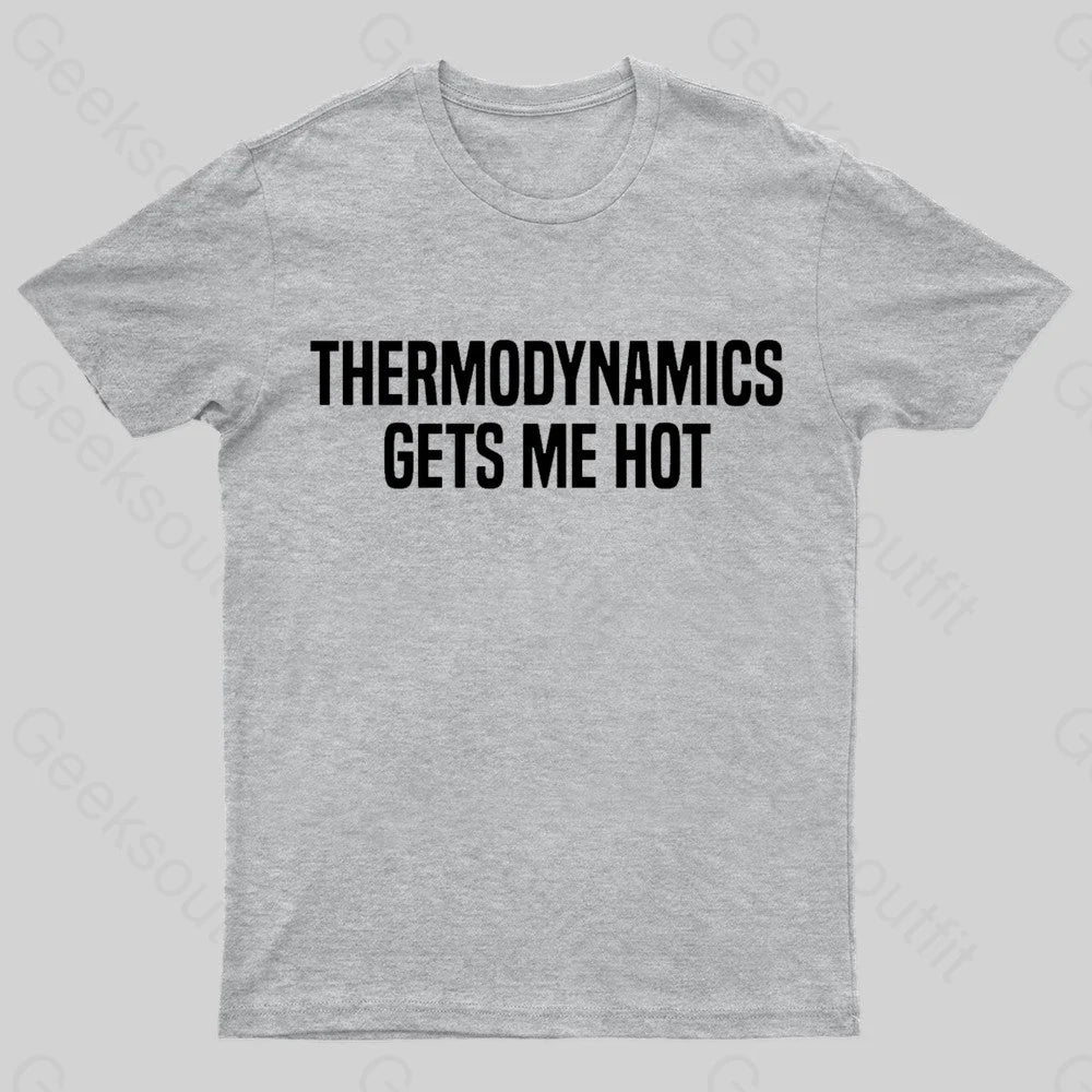 Thermodynamics Gets Me Hot Geek T-Shirt Grey / S