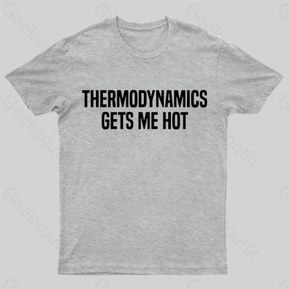 Thermodynamics Gets Me Hot Geek T-Shirt Grey / S