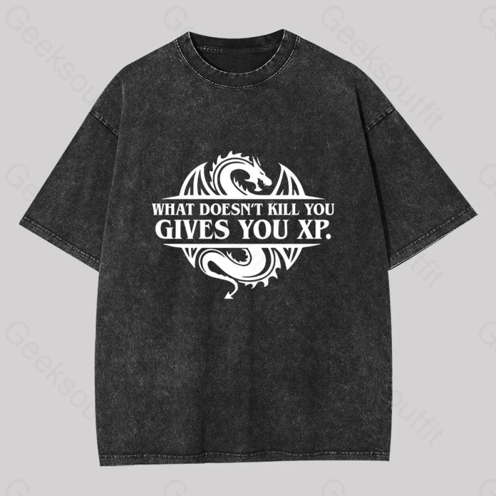 What Doesnt Kill You Give Experience Washed T-Shirt Black / S