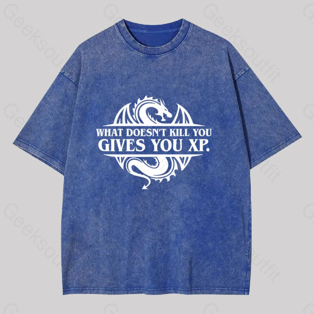 What Doesnt Kill You Give Experience Washed T-Shirt Blue / S