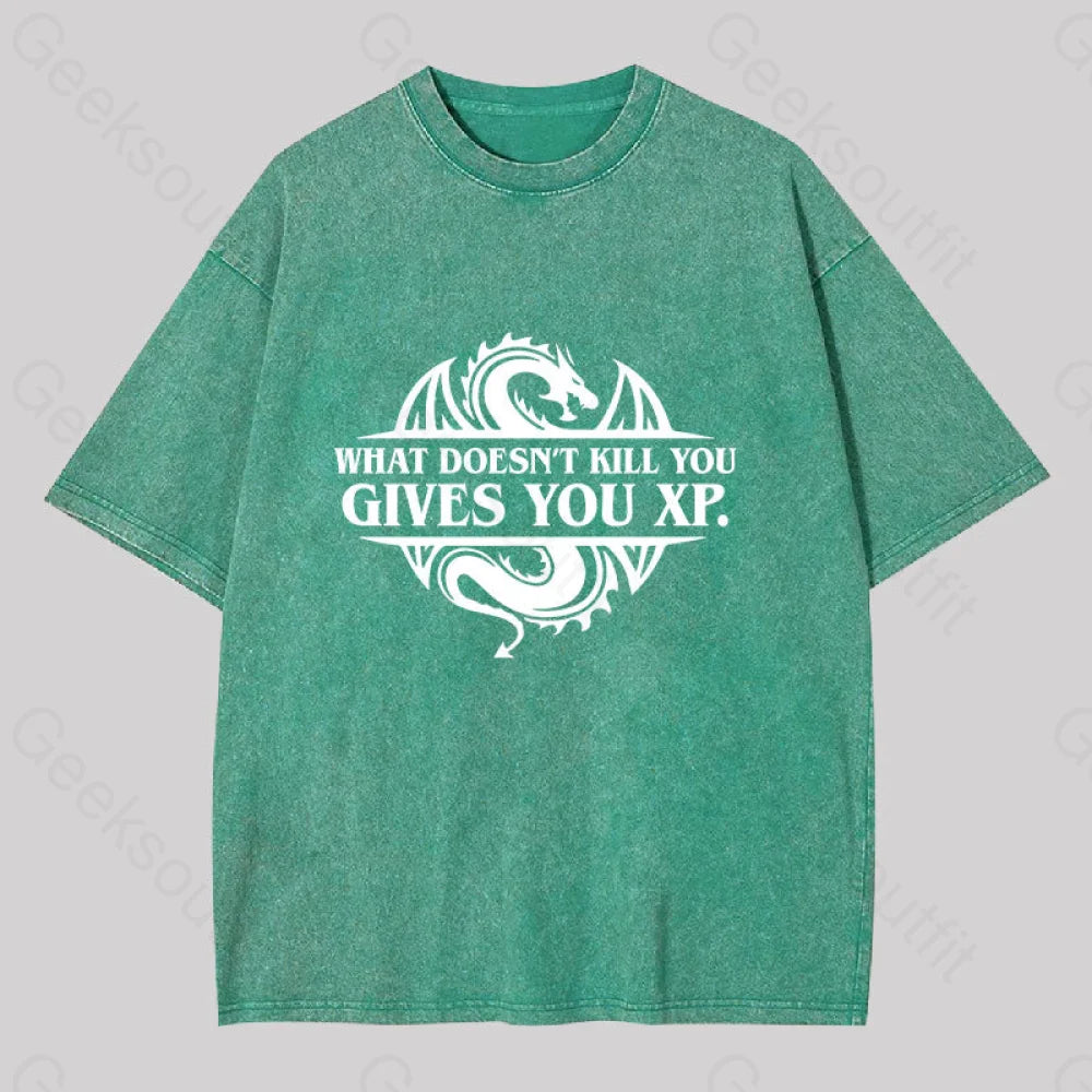 What Doesnt Kill You Give Experience Washed T-Shirt Grass Green / S