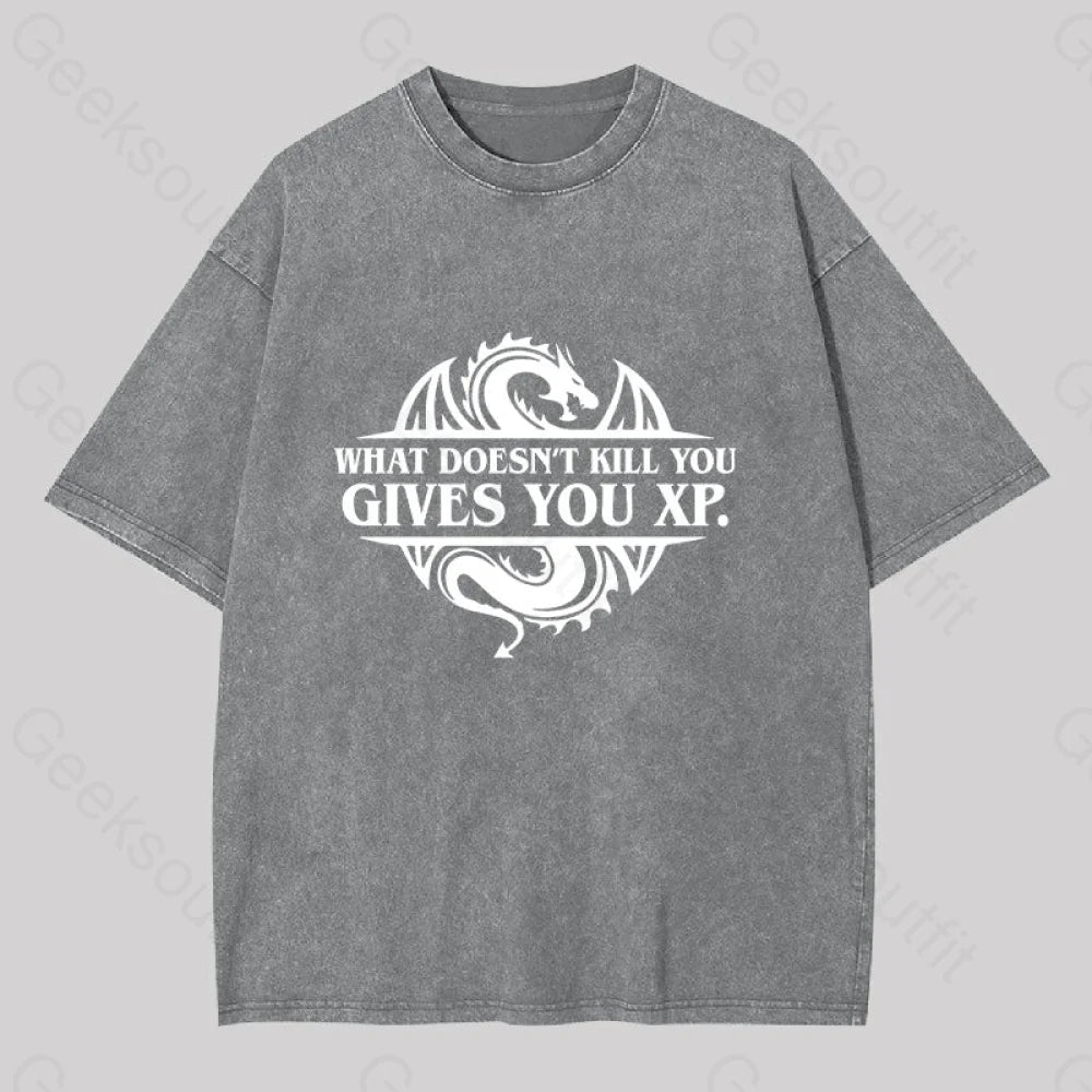 What Doesnt Kill You Give Experience Washed T-Shirt Grey / S