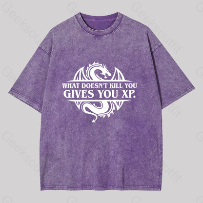 What Doesnt Kill You Give Experience Washed T-Shirt Purple / S