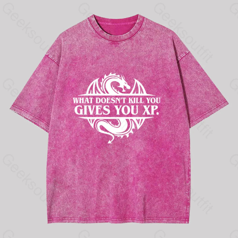 What Doesnt Kill You Give Experience Washed T-Shirt Rose Red / S