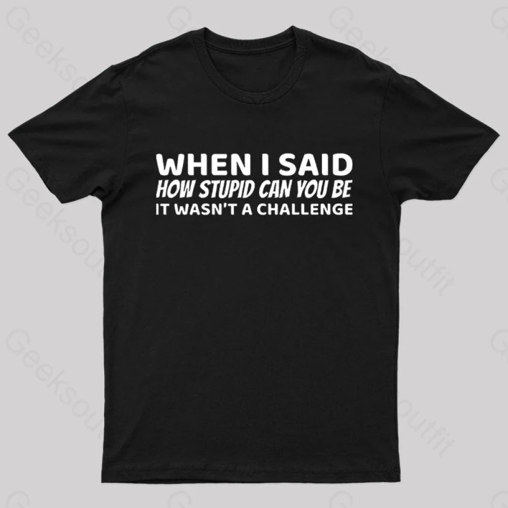 When I Said How Stupid Can You Be It Wasn’t A Challenge Nerd T-Shirt Black / S