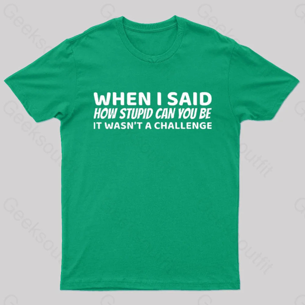 When I Said How Stupid Can You Be It Wasn’t A Challenge Nerd T-Shirt Green / S