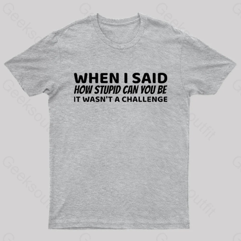 When I Said How Stupid Can You Be It Wasn’t A Challenge Nerd T-Shirt Grey / S