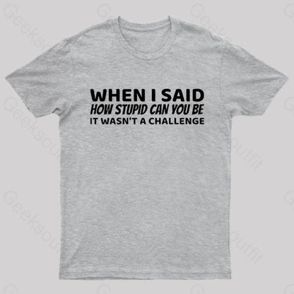 When I Said How Stupid Can You Be It Wasn’t A Challenge Nerd T-Shirt Grey / S