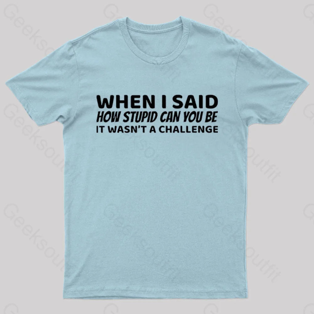 When I Said How Stupid Can You Be It Wasn’t A Challenge Nerd T-Shirt Light Blue / S