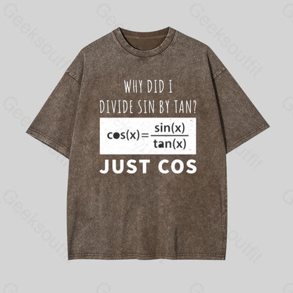 Why Did I Divide Sin By Tan Geek Washed T-Shirt Coffee / S